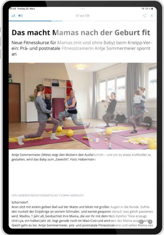 ePaper Artikelansicht